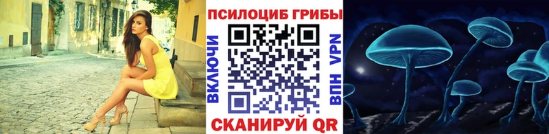 Псилоцибиновые грибы ЛСД  наркошоп  ссылка на мегу сайт  Сухой Лог 